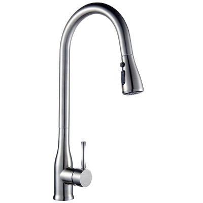 304 Stainless Steel Kitchen Faucet With Pull Down Out Plastic Sprayer